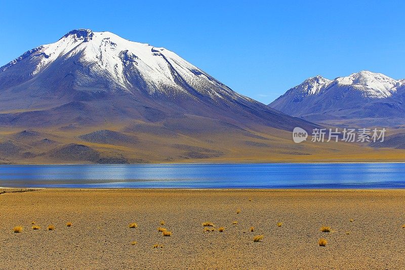 Lagunas Miñiques和Miscanti -湖泊和雪顶火山山-绿松石湖和田园般的阿塔卡马沙漠，火山景观全景-圣佩德罗阿塔卡马，智利，Bolívia和阿根廷边境